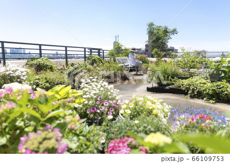 ルーフバルコニーでくつろぐ女性、ガーデニング、エクステリア ルーフバルコニーでくつろぐ女性、ガーデニング、エクステリア 66109753