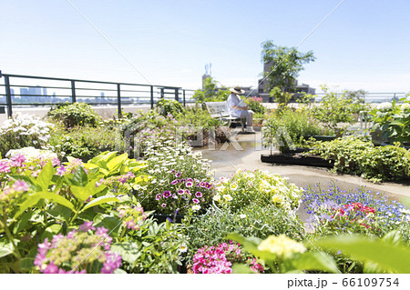 ルーフバルコニーでくつろぐ女性、ガーデニング、エクステリア ルーフバルコニーでくつろぐ女性、ガーデニング、エクステリア 66109754