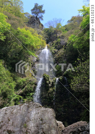 樽の滝 隠れた名瀑 高知県高知市 の写真素材