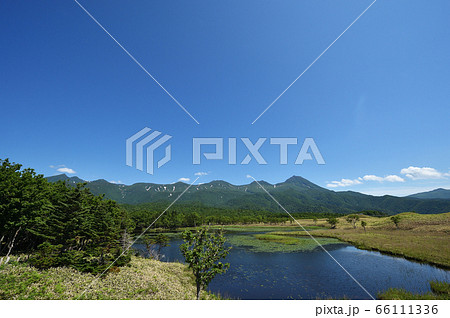 夏の知床五湖から望む知床連山(北海道) 夏の知床五湖から望む知床連山(北海道) 66111336