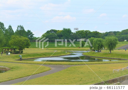 休日の大宮第二公園の風景 66111577