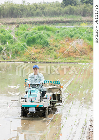 田植機を操縦する農家の男性 田植機を操縦する農家の男性 66111735