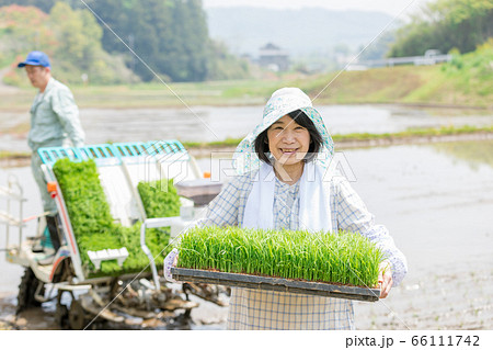 日本の農産業を支える農家の人々 66111742