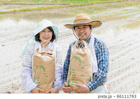 田植えと米収穫イメージ　 66111763