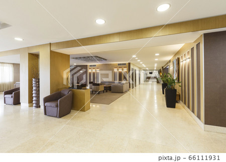 Modern minimalist interior of hotel lobby with decorations Modern minimalist interior of hotel lobby with decorations 66111931