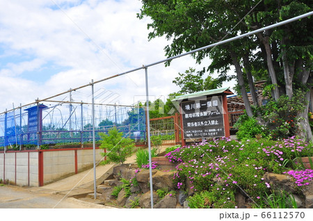 横浜市戸塚区 境川第一農園の栽培収穫体験ファーム入口 横浜市戸塚区 境川第一農園の栽培収穫体験ファーム入口 66112570