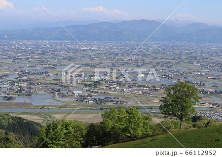 稲葉山の初夏 66112952