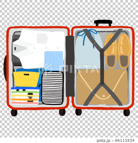 荷物が整理されているスーツケースの中身のイラスト素材