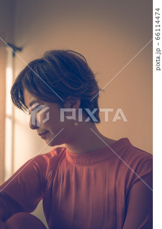 ドレスを着た美しい女性の横顔 ドレスを着た美しい女性の横顔 66114474