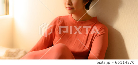 ドレスを着た美しい女性 ドレスを着た美しい女性 66114570