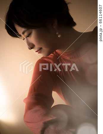 ドレスを着た美しい女性の横顔 66114607