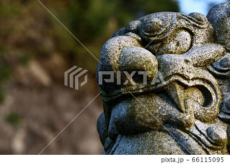 狛犬 66115095