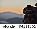 夕陽に吠える獅子（狛犬） 66115102