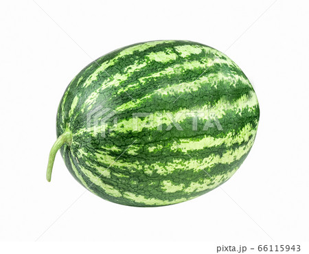 whole watermelon isolated on white background. 66115943