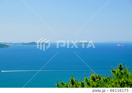 高津子山展望台から和歌浦湾を望む 66116175