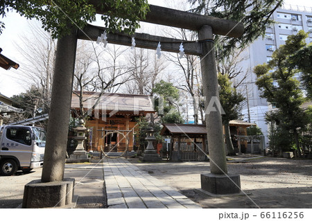 東京都足立区千住仲町の仲町氷川神社 東京都足立区千住仲町の仲町氷川神社 66116256