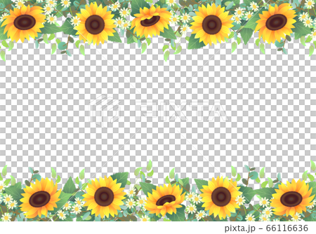 ひまわりと色々な植物を上下に装飾したフレーム ひまわりと色々な植物を上下に装飾したフレーム 66116636