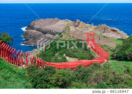 青い日本海を背景に赤い鳥居が並ぶ元乃隅神社(元乃隅稲成神社) 山口県長門市 青い日本海を背景に赤い鳥居が並ぶ元乃隅神社(元乃隅稲成神社) 山口県長門市 66116947