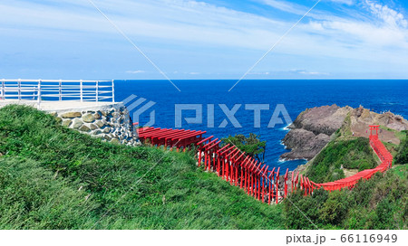 青い日本海を背景に赤い鳥居が並ぶ元乃隅神社（元乃隅稲成神社） 山口県長門市 66116949