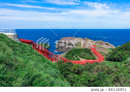 青い日本海を背景に赤い鳥居が連なる元乃隅神社(元乃隅稲成神社) 山口県長門市 青い日本海を背景に赤い鳥居が連なる元乃隅神社(元乃隅稲成神社) 山口県長門市 66116951