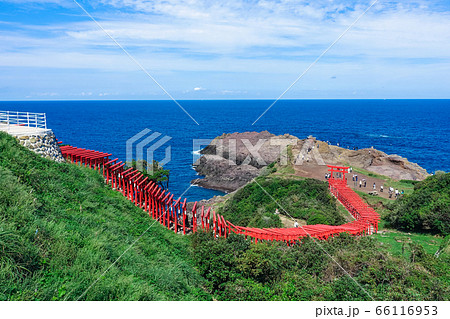 青い日本海を背景に赤い鳥居が連なる元乃隅神社(元乃隅稲成神社) 山口県長門市 青い日本海を背景に赤い鳥居が連なる元乃隅神社(元乃隅稲成神社) 山口県長門市 66116953
