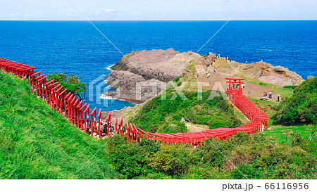 青い日本海を背景に赤い鳥居が連なる元乃隅神社（元乃隅稲成神社） 山口県長門市 66116956