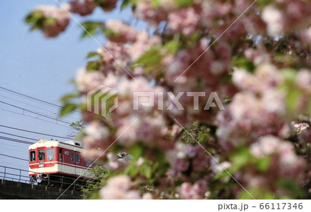 神戸電鉄1350系 神戸電鉄1350系 66117346