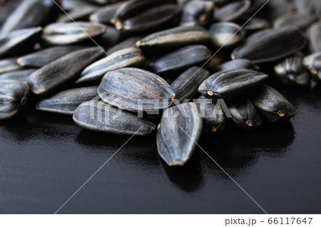 Sunflower seed on a black wooden table 66117647