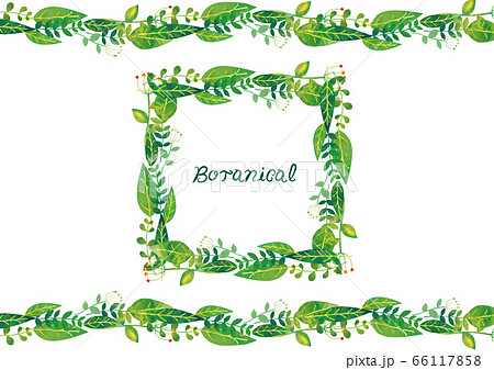 北欧風 ボタニカルな緑多め植物フレーム 上下と囲みタイトル のイラスト素材 66117858 Pixta