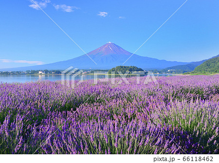 河口湖畔からの夏の風景-777565 河口湖畔からの夏の風景-777565 66118462