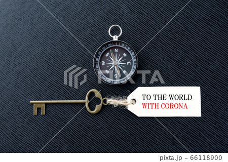 ウィズコロナの世界への鍵 ウィズコロナの世界への鍵 66118900