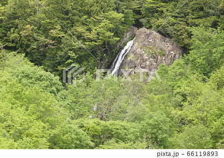 おおくら滝 66119893