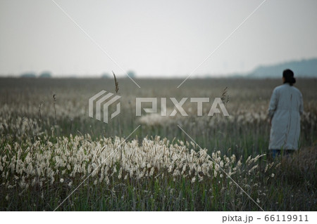 フル 女性 女 66119911