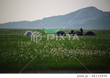 フル 女性 女 66119940