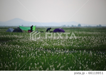 フル 女性 女 66119951