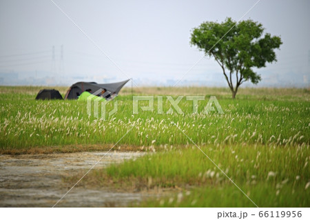 フル 女性 女 66119956