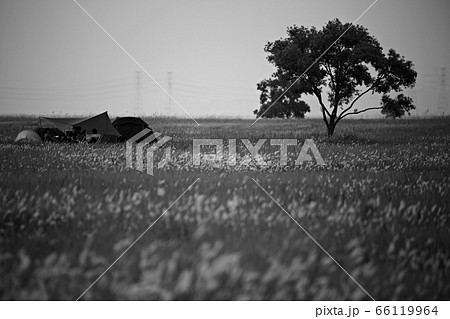 フル 女性 女 66119964