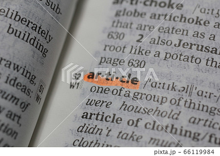 article article 66119984