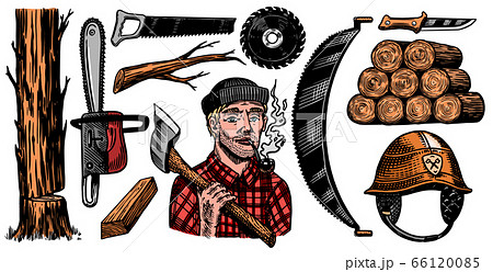 Lumberjack with axe. Woodsman character and work tools Set. Downed logs, Saw or chainsaw. Hand drawn 66120085