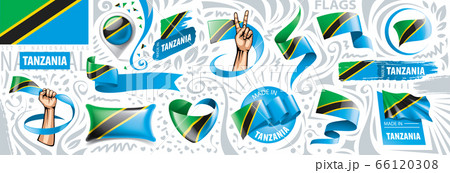 Vector set of the national flag of Tanzania in various creative designs 66120308