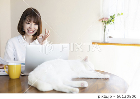 ビデオ通話中の若い女性とくつろぐ猫 ビデオ通話中の若い女性とくつろぐ猫 66120800