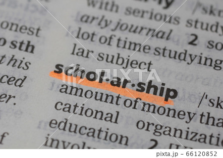 スカラーシップ 66120852