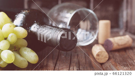 Bottle of red wine with fresh grape and bunch of 66121320