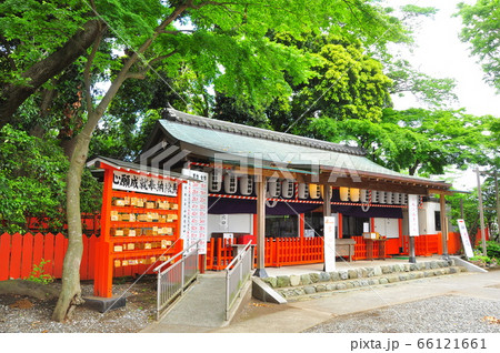 横浜市戸塚区　相州春日神社の拝殿と新緑 66121661