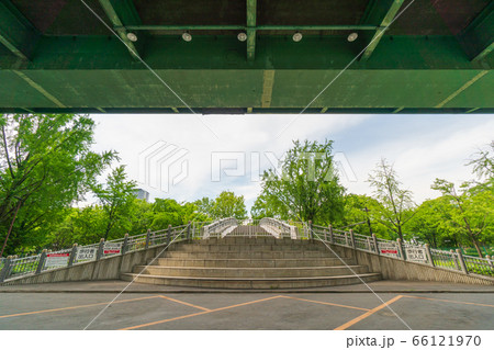 若宮大通公園白川前駐車場 66121970