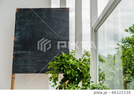 Old wooden board for chalk on the terrace on the background of greenery. Space for text 66122130