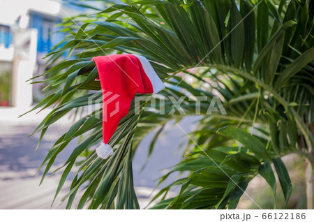 Red Santa's hat hanging on palm tree at the tropical beach. Christmas in tropical climate concept 66122186