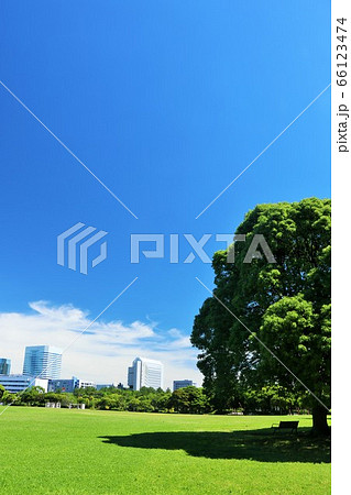 青空の公園 66123474