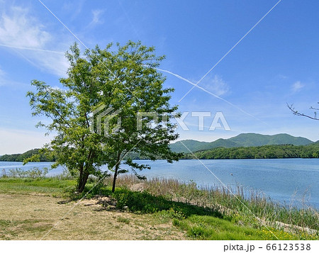 風景 自然 自然の風景 66123538