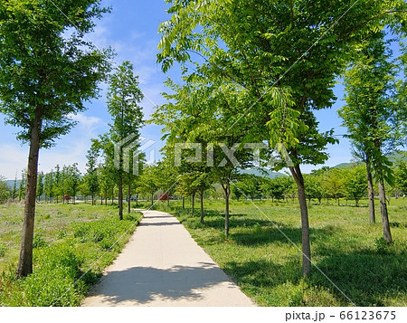 風景 自然 自然の風景 66123675